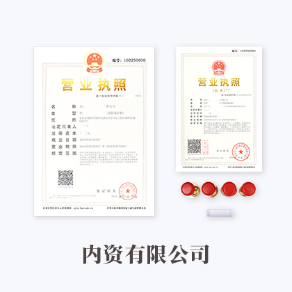 内资股份有限公司注册